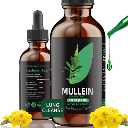 Chlorophyll&Mullein Drops for Lungs - Support Lung Cleanse & Respiratory Function for Healthy Breathing - Natural Supplement, Tincture Drops | Non-GMO, Vegetarian | 1 Month Supply