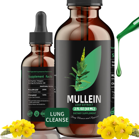 Chlorophyll&Mullein Drops for Lungs - Support Lung Cleanse & Respiratory Function for Healthy Breathing - Natural Supplement, Tincture Drops | Non-GMO, Vegetarian | 1 Month Supply