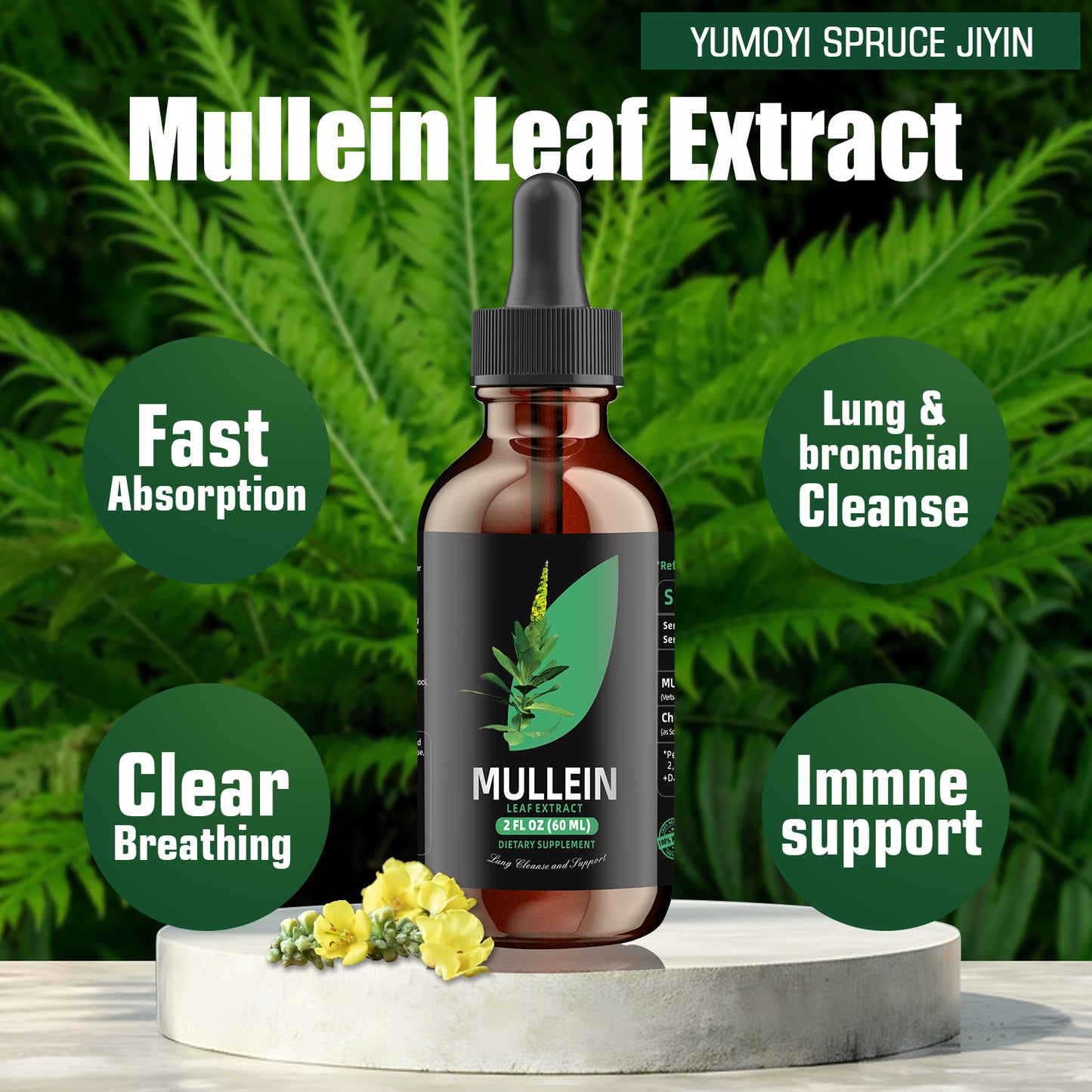 Chlorophyll&Mullein Drops for Lungs - Support Lung Cleanse & Respiratory Function for Healthy Breathing - Natural Supplement, Tincture Drops | Non-GMO, Vegetarian | 1 Month Supply