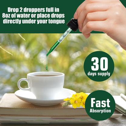 Chlorophyll&Mullein Drops for Lungs - Support Lung Cleanse & Respiratory Function for Healthy Breathing - Natural Supplement, Tincture Drops | Non-GMO, Vegetarian | 1 Month Supply