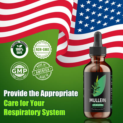 Chlorophyll&Mullein Drops for Lungs - Support Lung Cleanse & Respiratory Function for Healthy Breathing - Natural Supplement, Tincture Drops | Non-GMO, Vegetarian | 1 Month Supply
