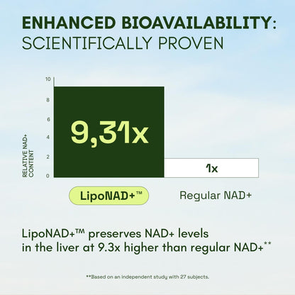 NAD+ Supplement MNM Alternative - Liposomal Nicotinamide Riboside, Resveratrol, Quercetin by Reus Research - High Purity NAD+ Supplement for Anti-Aging, Energy, Focus - 80